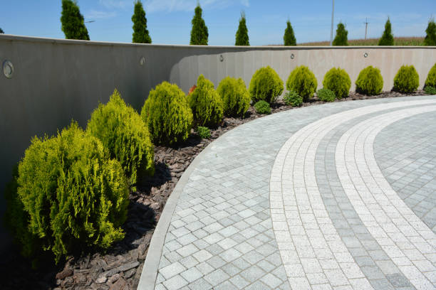 Best Concrete Paver Driveway  in Alma, GA